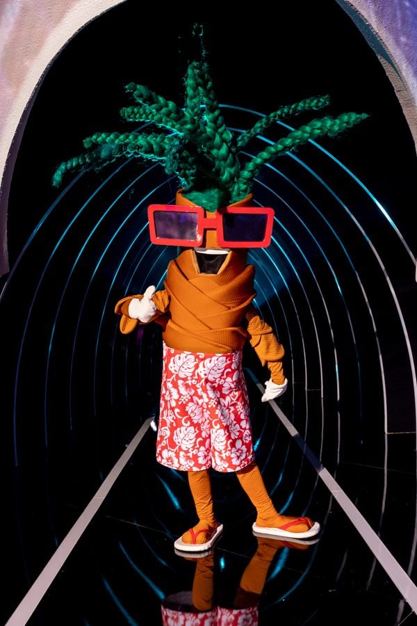 Coqueiro por Kelly Fuzaro