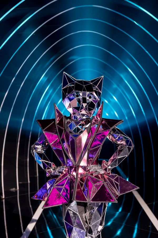 Gata Espelhada por Kelly Fuzaro