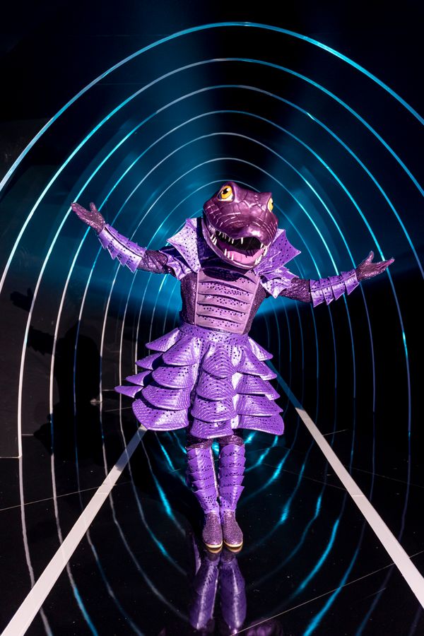 Jacaré por Kelly Fuzaro