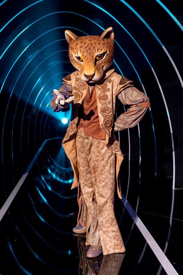 Onça Pintada por Kelly Fuzaro