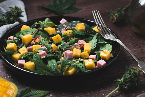 Salada Kush, preparada com maconha pelo chef capixaba Gustavo Colombeck