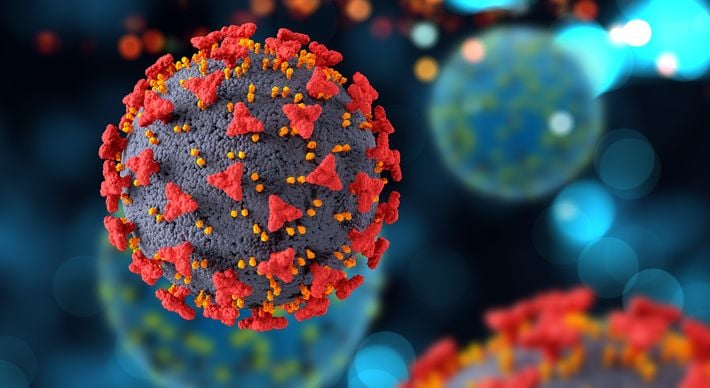 A medida é parte de um conjunto de políticas para fortalecer o combate à variante Ômicron do coronavírus