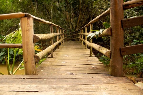 Um dos atrativos é a trilha pela mata, nos fundos do restaurante por Igor Santos