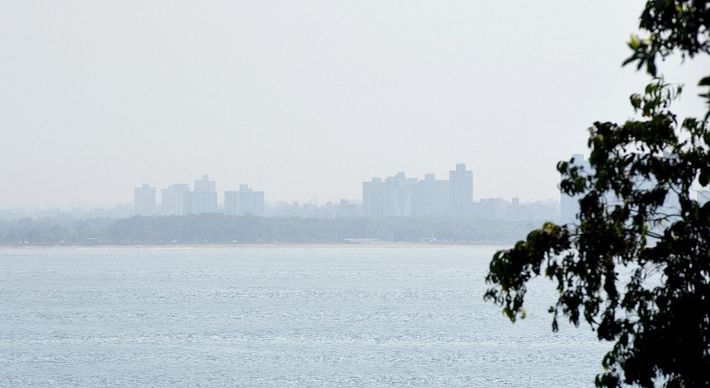 Fenômeno — que surge da associação entre a umidade relativa do ar e as baixas temperaturas — está previsto para ocorrer durante a madrugada e a manhã desta quinta-feira (23)