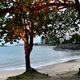 Imagem - Por que praias da Grande Vitória têm areia preta? Estudo descobre causa