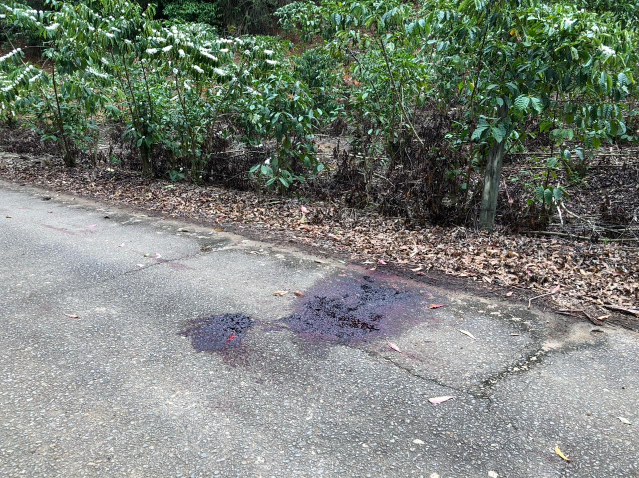 Marca de sangue onde estava o corpo da vítima foi encontrado. Crédito: Gustavo Ribeiro | TV Gazeta Sul