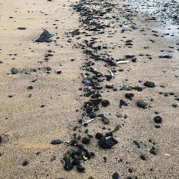 Fragmentos de óleo em Fernando de Noronha