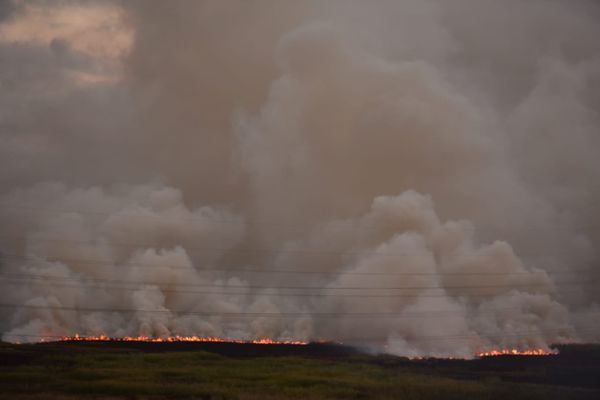 Incêndio atinge área de vegetação na Serra por Fernando Madeira