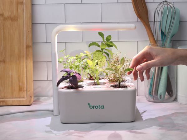 Brota lança nova geração de hortas inteligentes com iluminação artificial