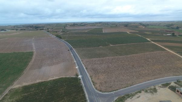 Entre os cultivos importantes para a economia de Marataízes estão o abacaxi, a cana-de-açúcar, a mandioca, hortaliças, além da produção de leite.