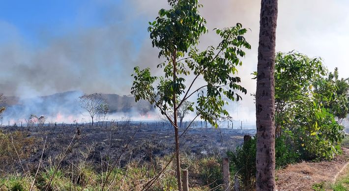 Corpo de Bombeiros atuou por mais de seis horas com o apoio da Defesa Civil do município para combater o fogo