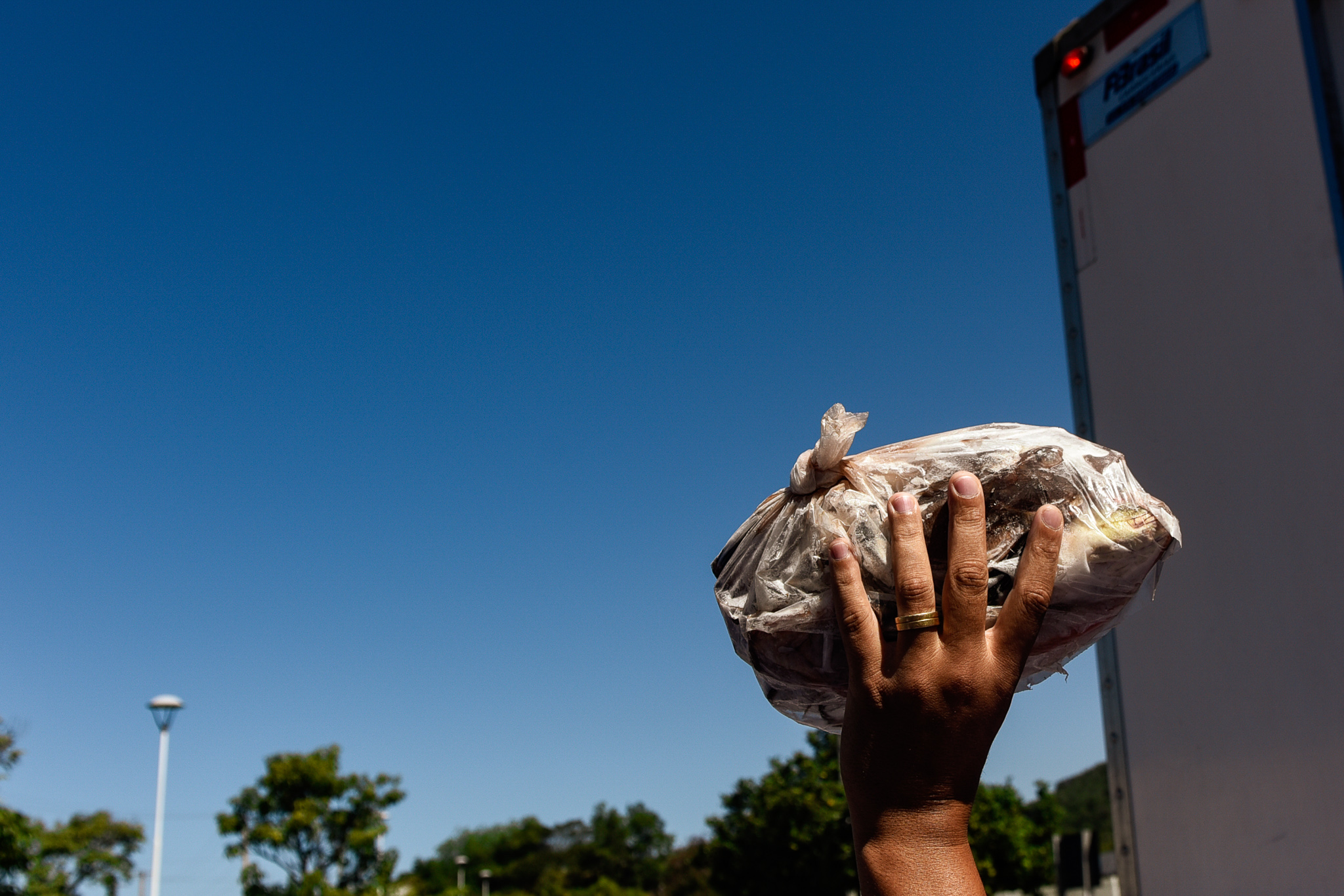 SIndicato de Pescadores promove distribuição de peixes na Praça do Papa para reivindicar indenizações após rompimento da barragem da Samarco