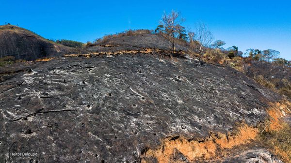 Imagens mostram estrago após incêndio em Venda Nova por Heitor Delpupo