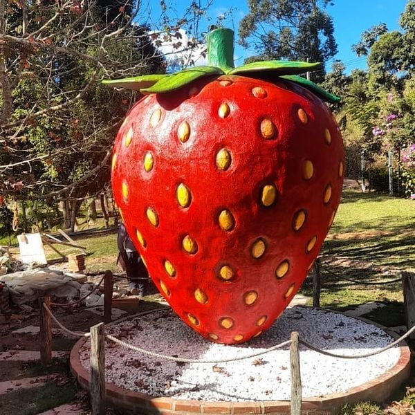 Veja onde colher morangos na Região Serrana do ES por @sitio.pedreiras