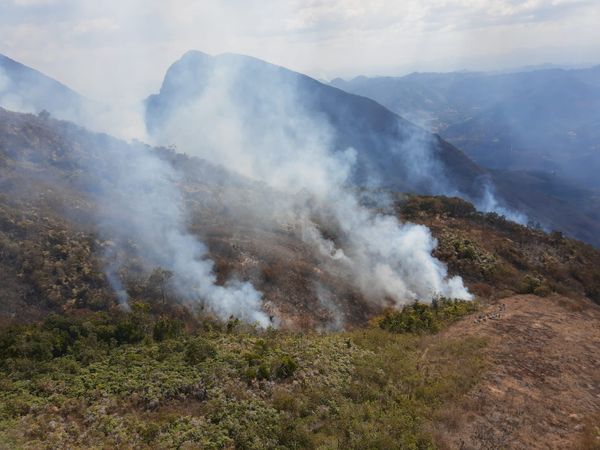 Incêndio destroi vegetação no Parque Nacional do Caparaó 
