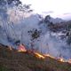 Imagem - Incêndio em vegetação chega perto de condomínio em Cachoeiro