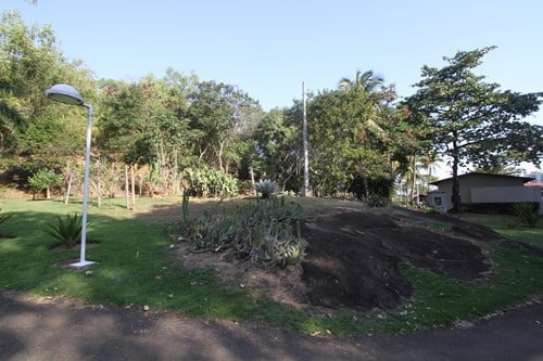 Área aberta com vegetação rasteira, cactos e agaves que receberá obras permanentes na Casa do Governador, em Vila Velha