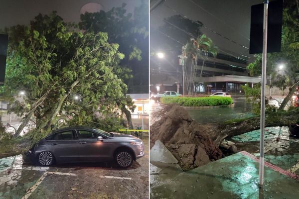 Árvore cai sobre carro em Santa Lucia, Vitória