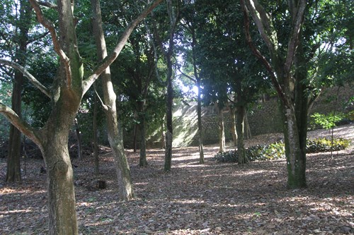Bosque na Casa do Governador onde ficará uma das obras permanentes 