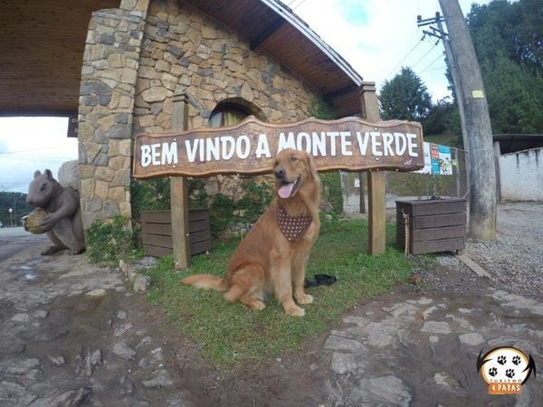 Visita a Monte Verde, Minas Gerais 