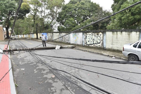 Chuva com vento derruba quatro postes e árvore em rua de Vitória por Ricardo Medeiros
