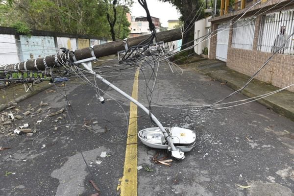 Chuva com vento derruba quatro postes e árvore em rua de Vitória