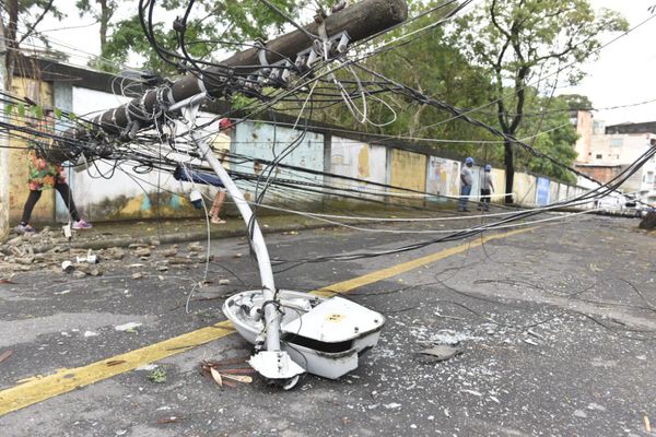 Chuva com vento derruba quatro postes e árvore em rua de Vitória por Ricardo Medeiros