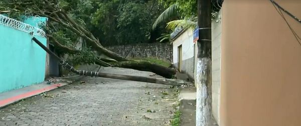 Postes caídos no bairro Santa Tereza, Vitória por Reprodução/TV Gazeta