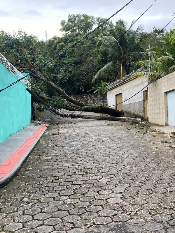 Postes caídos no bairro Santa Tereza, Vitória por Carol Monteiro/TV Gazeta