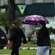Imagem - ES tem alerta de chuvas intensas com perigo potencial para 32 cidades