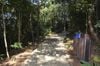 Anchieta abre parque com trilhas, viveiro de mudas e mirante(Divulgação/ Prefeitura de Anchieta)