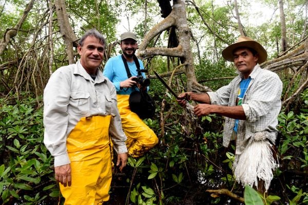 Ricardo Medeiros (esquerda) durante matéria especial sobre os manguezais - dezembro/2019