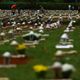 Imagem - Brasil atinge 600 mil mortos por Covid com pandemia em desaceleração