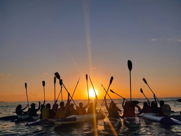 Volta de caiaque na Baía das Tartarugas por Alma Nativa/Divulgação