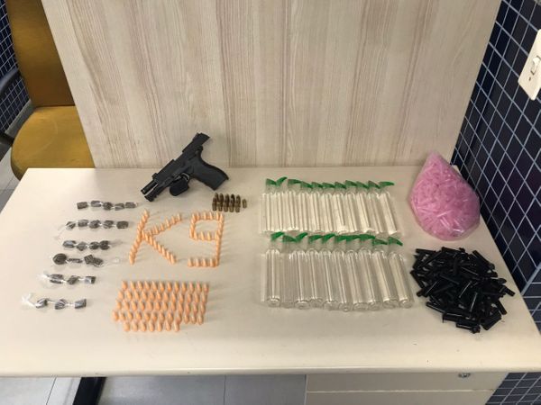  Cadela Kora ajudou a PM a apreender pistola e droga em Vila Velha