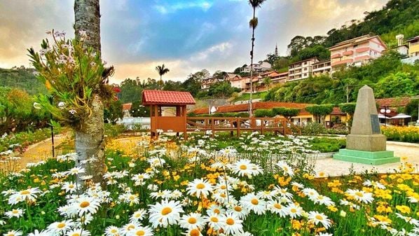 CBN Vitória - 6dojicou97n