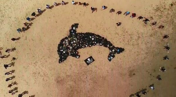 Foi formado um desenho de golfinho com o lixo retirado da praia da Curva da Jurema