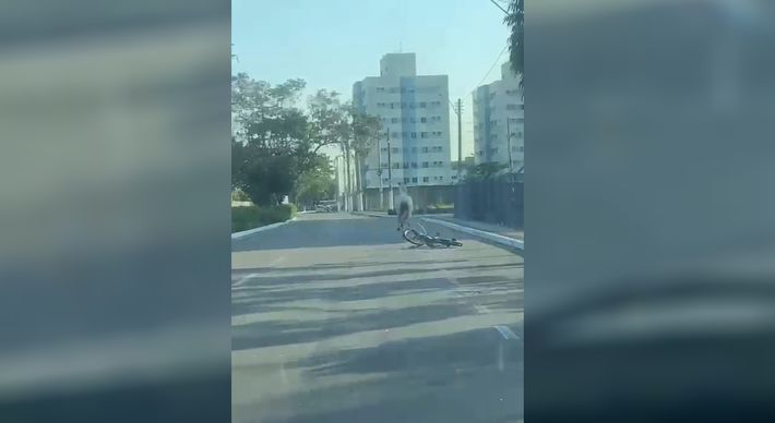 A Prefeitura de Vila Velha informou que a Guarda Municipal foi acionada e realiza buscas para tentar localizar o cavalo e o tutor responsável pelo animal