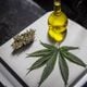 Imagem - Indústria discute acesso a remédio de cannabis pelo SUS