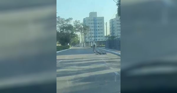 Motorista flagrou animal correndo desorientado pelas ruas de Vila Velha