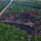Desmatamento e queimada às margens da rodovia BR-319, na Amazônia