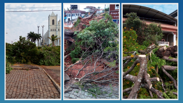Prefeitura corta árvores de praça central de São José do Calçado 
