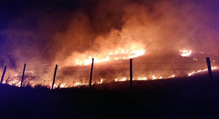 Fogo assustou quem passou na noite desta terça-feira (14) pela ES 166, na localidade de Fazenda do Centro. Bombeiros combateram fogo por 8 horas