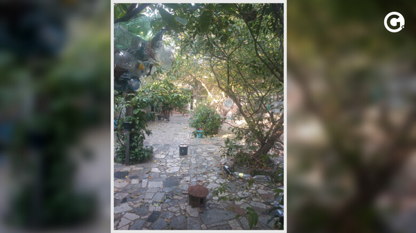 Quando interessados chegam na casa que fica no endereço da Praia do Morro, encontram uma residência e um quintal completamente diferentes do anunciado