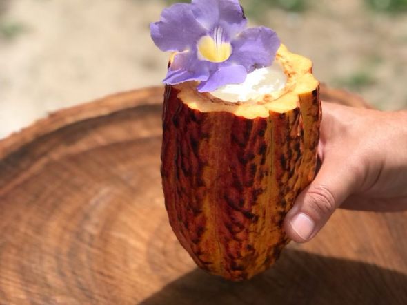 A Cor Púrpura: mel de cacau, vodca, leite condensado e creme por Babado Bar/Divulgação