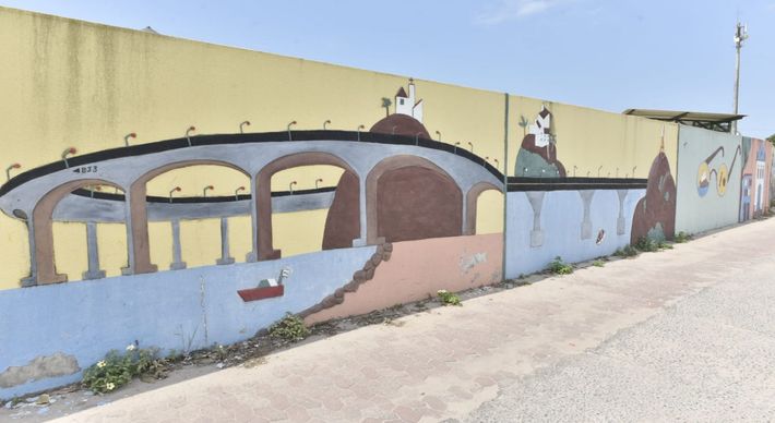 Registros mostram arte em muros, placas e outras estruturas no tradicional bairro canela-verde. Veja as fotos