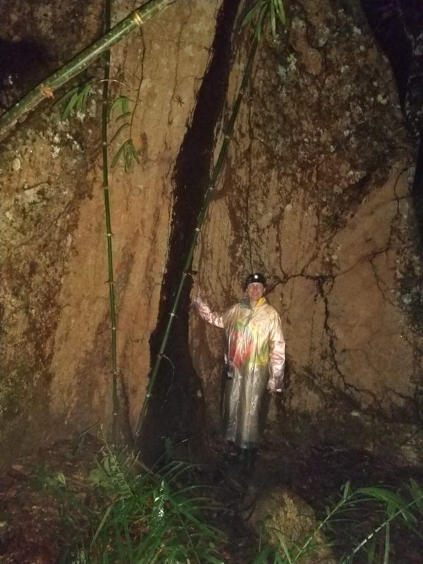 Ambiente onde Geisa Paulino Caprini procura as pererecas por Geisa Paulino Caprini Evaristo
