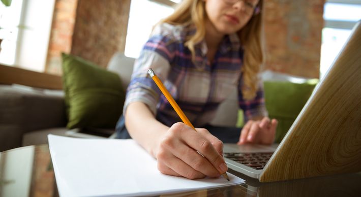 São mais de 12 mil vagas abertas em editais para todos os níveis de escolaridade em vários Estados, inclusive no Espírito Santo