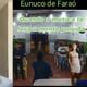 Imagem - Eunuco de Faraó: música escrita por pedreiro vira meme após post de Portiolli