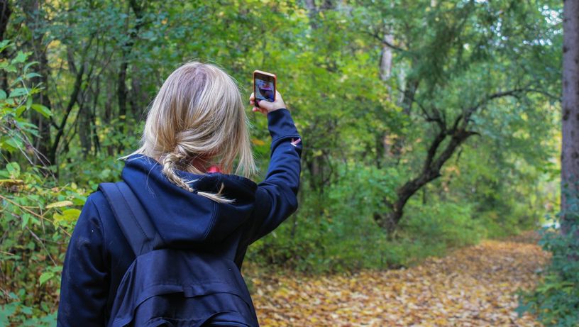 Foto; fotografia, selfie, redes sociais; celular; internet
